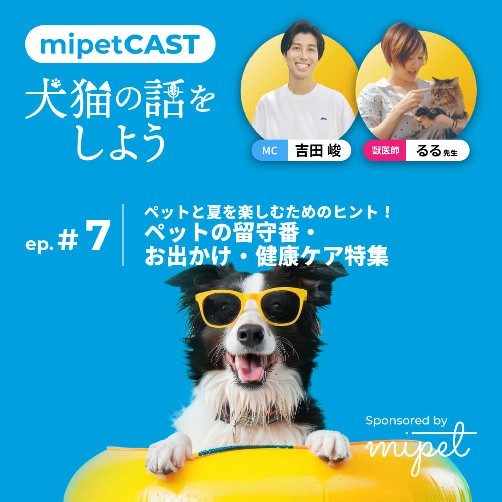 ペットと夏を楽しむためのヒント！ペットの留守番・お出かけ・健康ケア特集