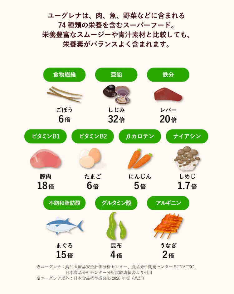 ユーグレナは、肉、魚、野菜などに含まれる74種類の栄養を含むスーパーフード。栄養豊富なスムージーや青汁素材と比較しても、栄養素がバランスよく含まれます。食物繊維、ごぼう6倍。亜鉛、しじみ32倍。鉄分レバー20倍。ビタミンB1、豚肉18倍。ビタミンB2、たまご6倍。βカロテン、にんじん5倍。ナイアシン、しめじ1.7倍。不飽和脂肪酸、まぐろ15倍。グルタミン酸、昆布4倍。アルギニン、うなぎ２倍。 ※ユーグレナ：食品医療品安全評価分析センター、食品分析開発センター SUNATEC、日本食品分析センター分析試験成績書より引用 ※ユーグレナ以外：日本食品標準成分表 2020年版（八訂）