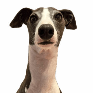 ULU（ウル）くん