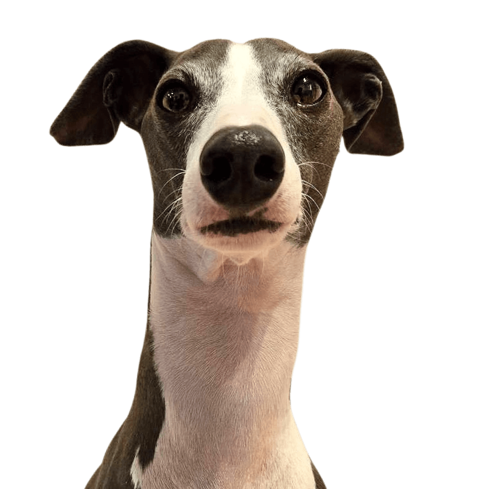 ULU（ウル）くん