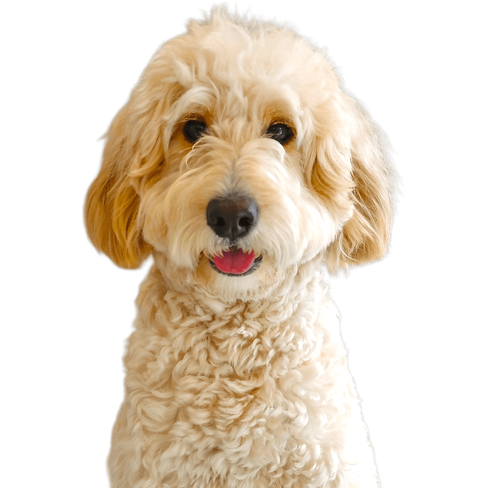 SUNNY（サニー）ちゃん