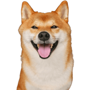 ウルくん