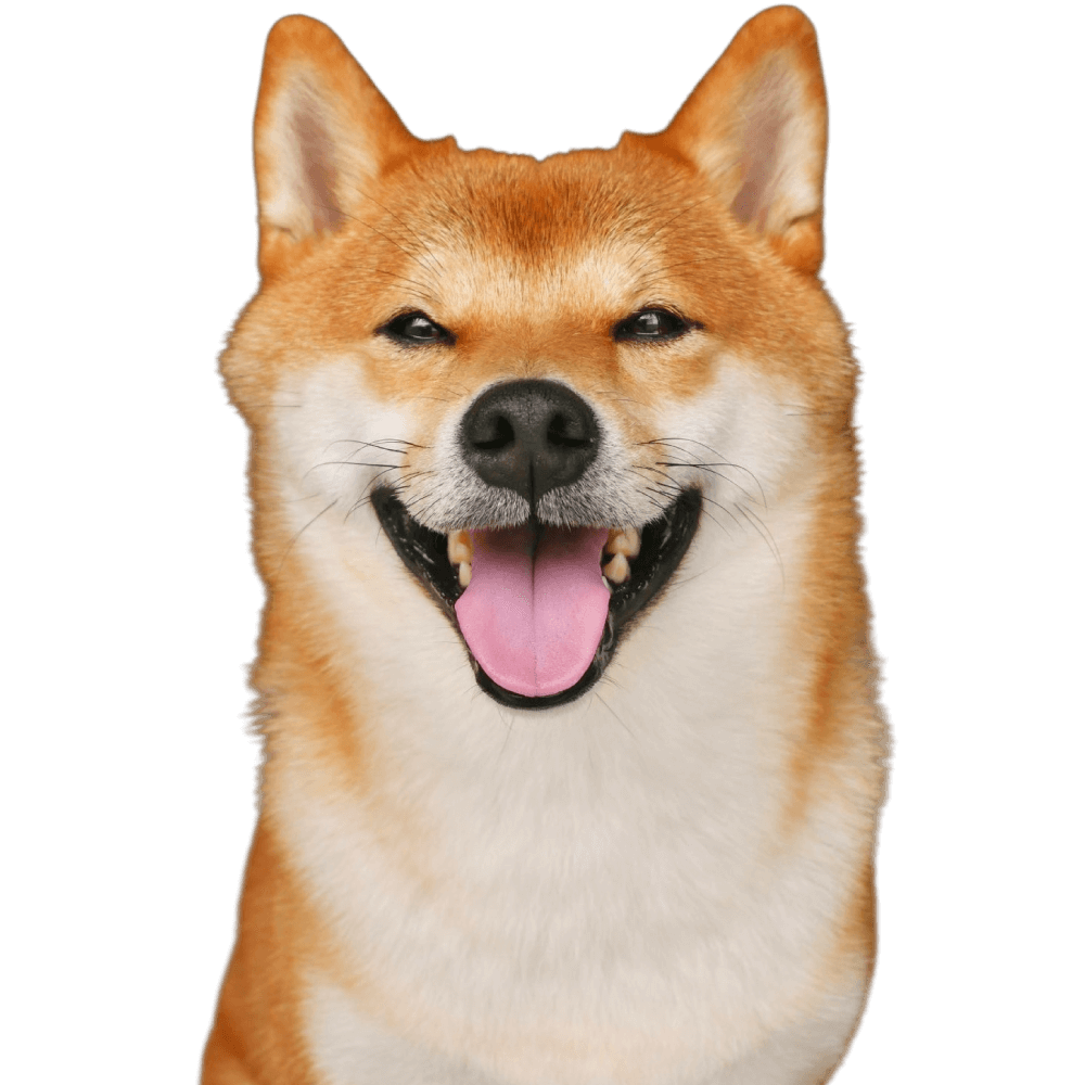 ウルくん