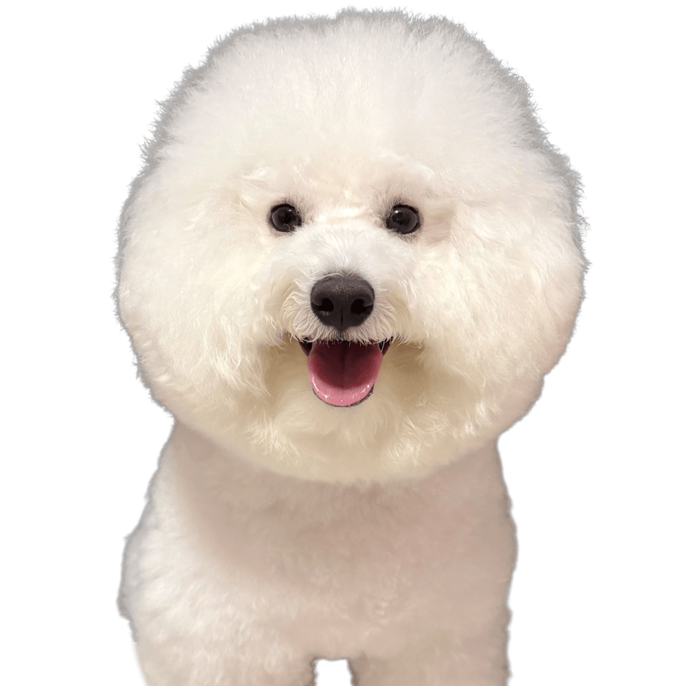 クロムくん