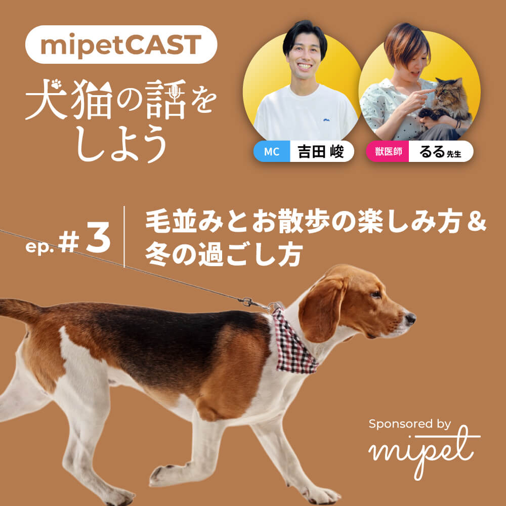毛並みとお散歩の楽しみ方 ＆ 冬の過ごし方