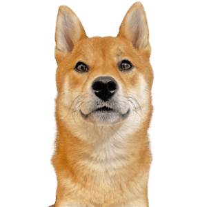 キャプテンくん