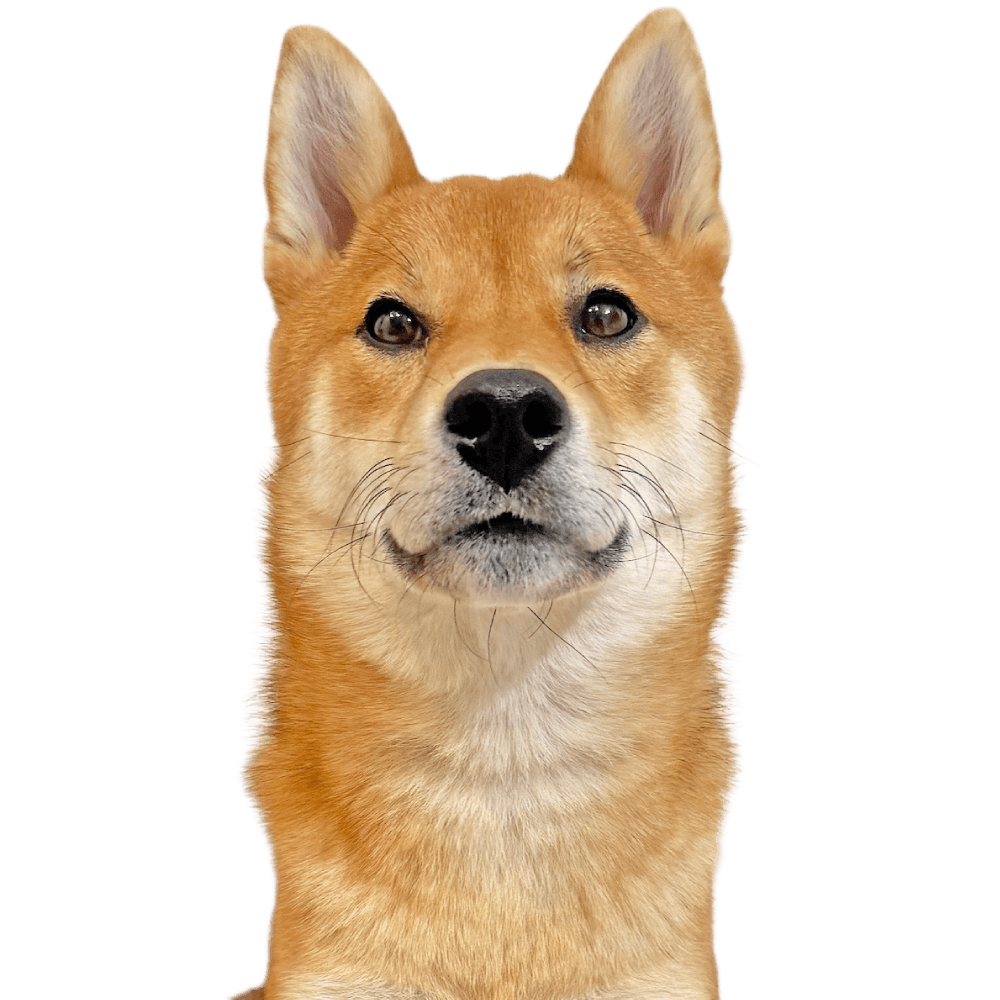 キャプテンくん