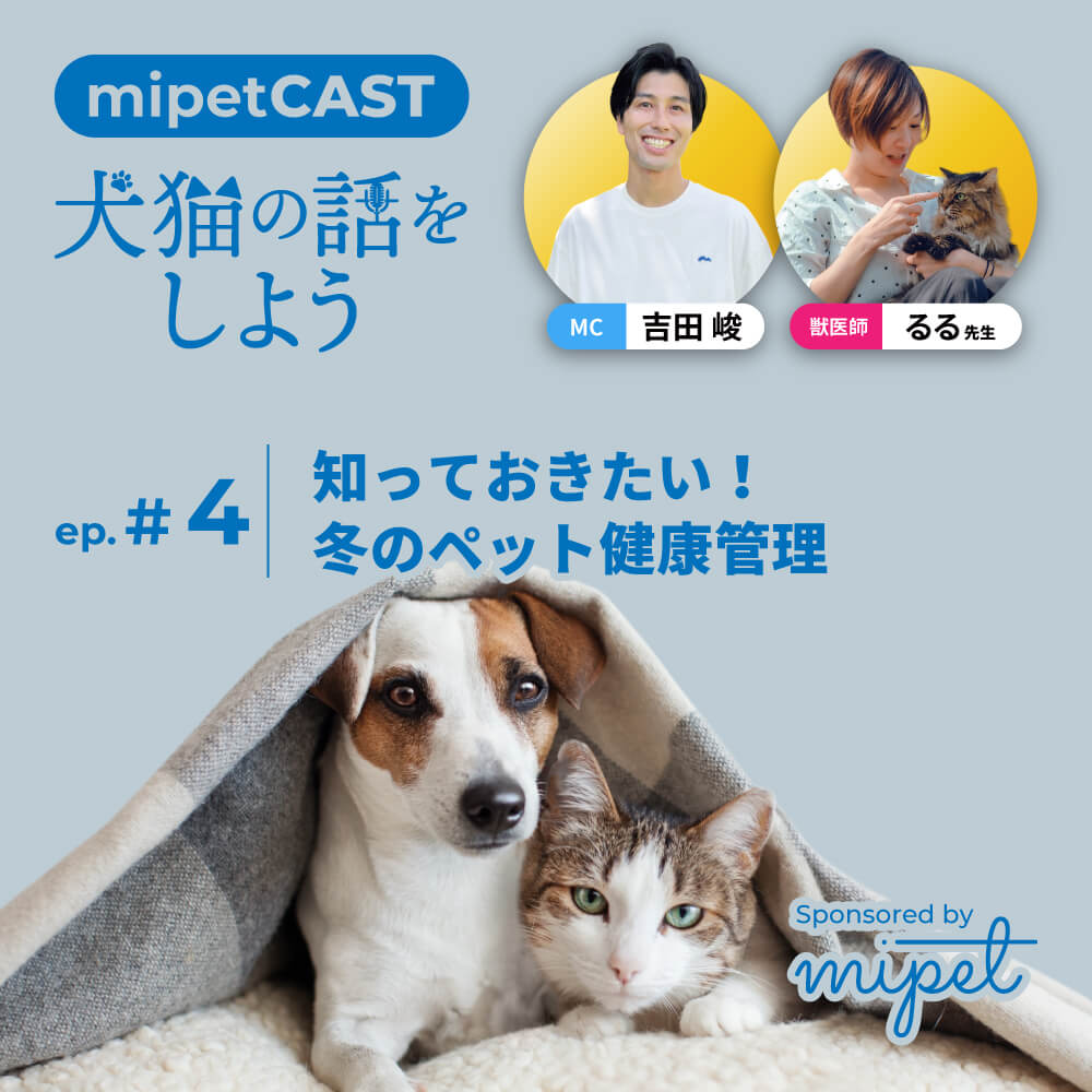 知っておきたい！冬のペット健康管理
