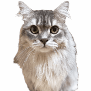 だいじんくん