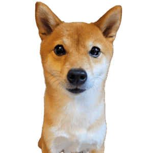 ちび太くん