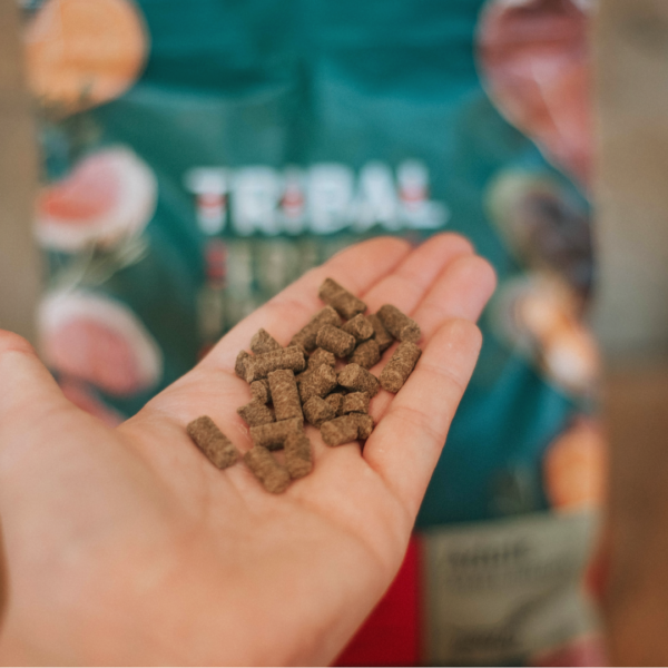 トライバル フレッシュダック（スリムキブル） | mipet（ミペット