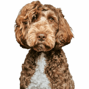 MARS（マーズ）くん