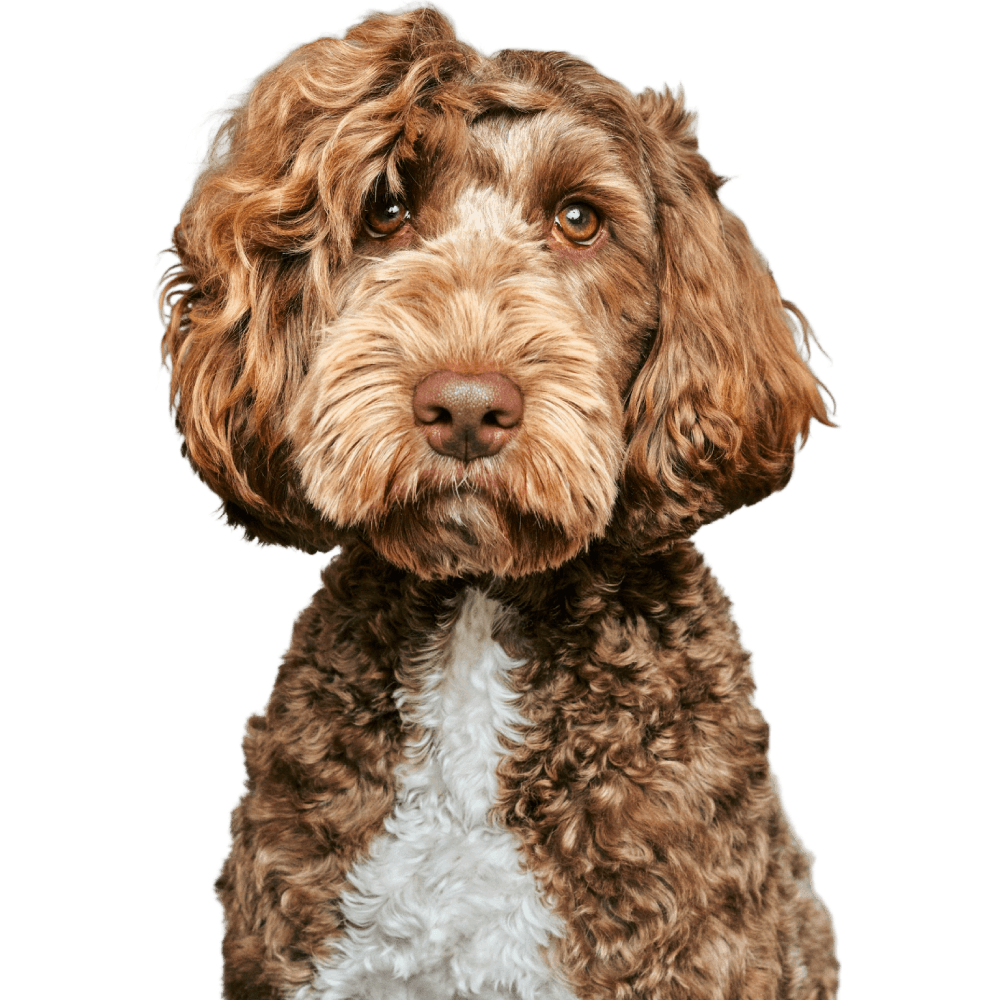 MARS（マーズ）くん