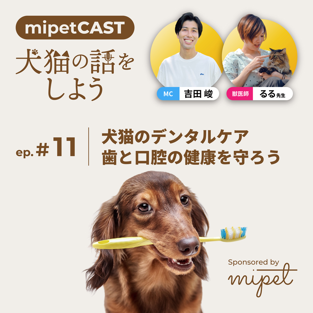 犬猫のデンタルケア: 歯と口腔の健康を守ろう