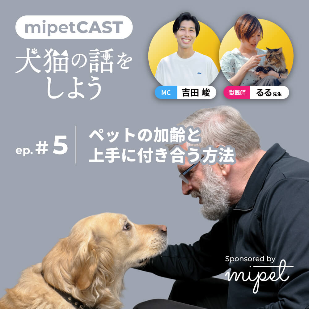 ペットの加齢と上手に付き合う方法