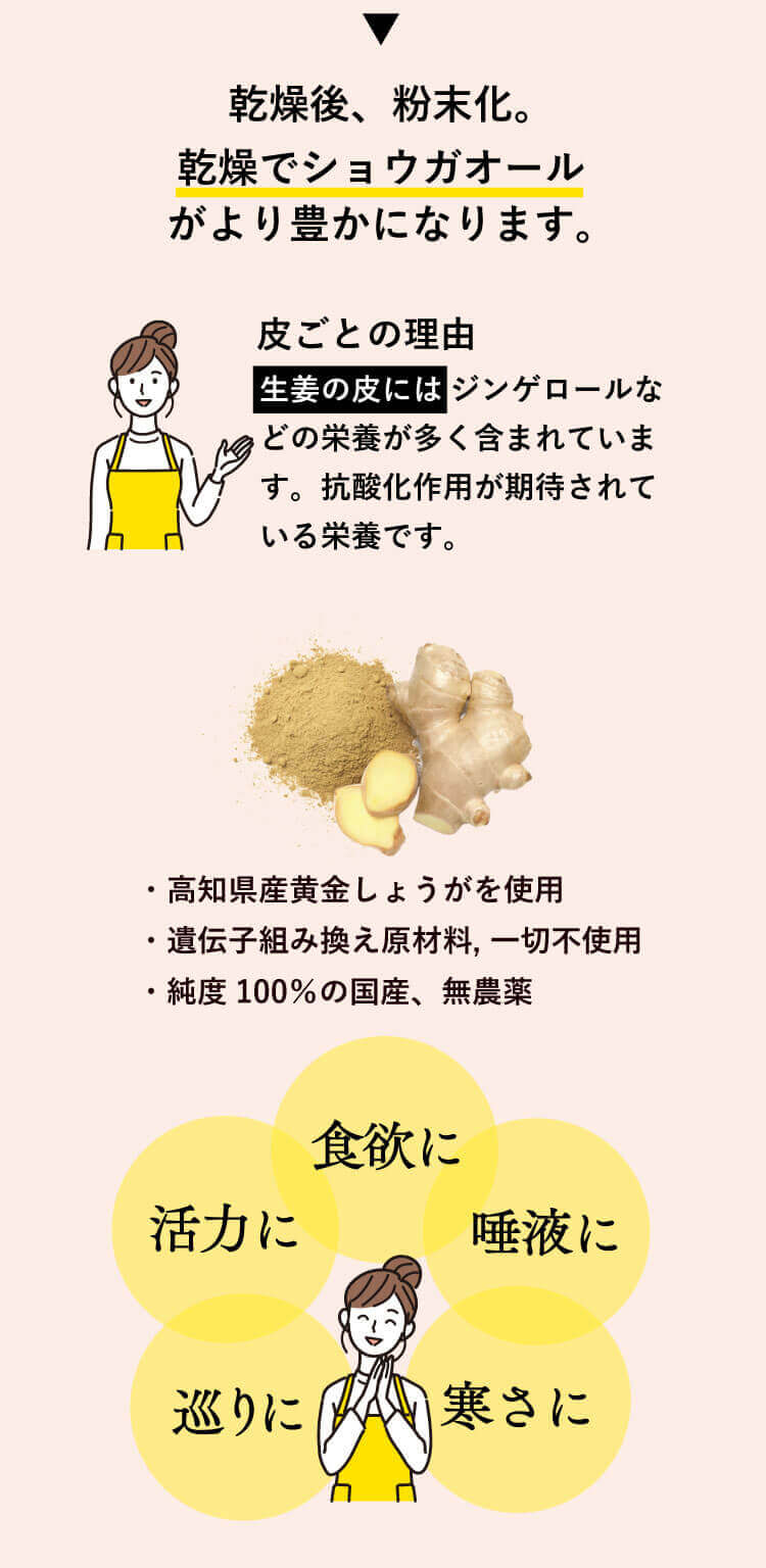 乾燥後、粉末化。乾燥でショウガオールがより豊かになります。皮ごとの理由は生姜の皮にはジンゲロールなどの栄養が多く含まれています。抗酸化作用が期待されている栄養です。高知県産黄金しょうがを使用。遺伝子組み換え原材料、一切不使用。純度 100%の国産、無農薬。食欲に、活力に、巡りに、唾液に、寒さに。