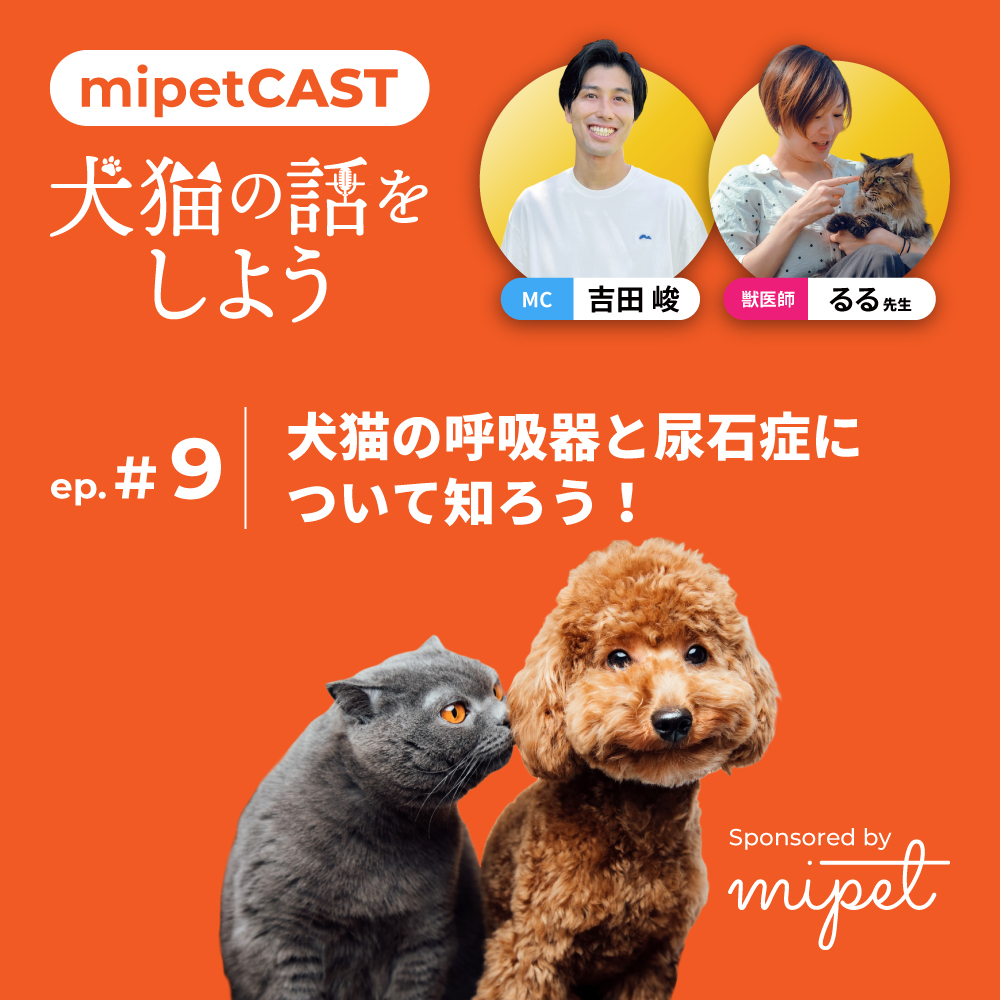 犬猫の呼吸器と尿石症について知ろう！