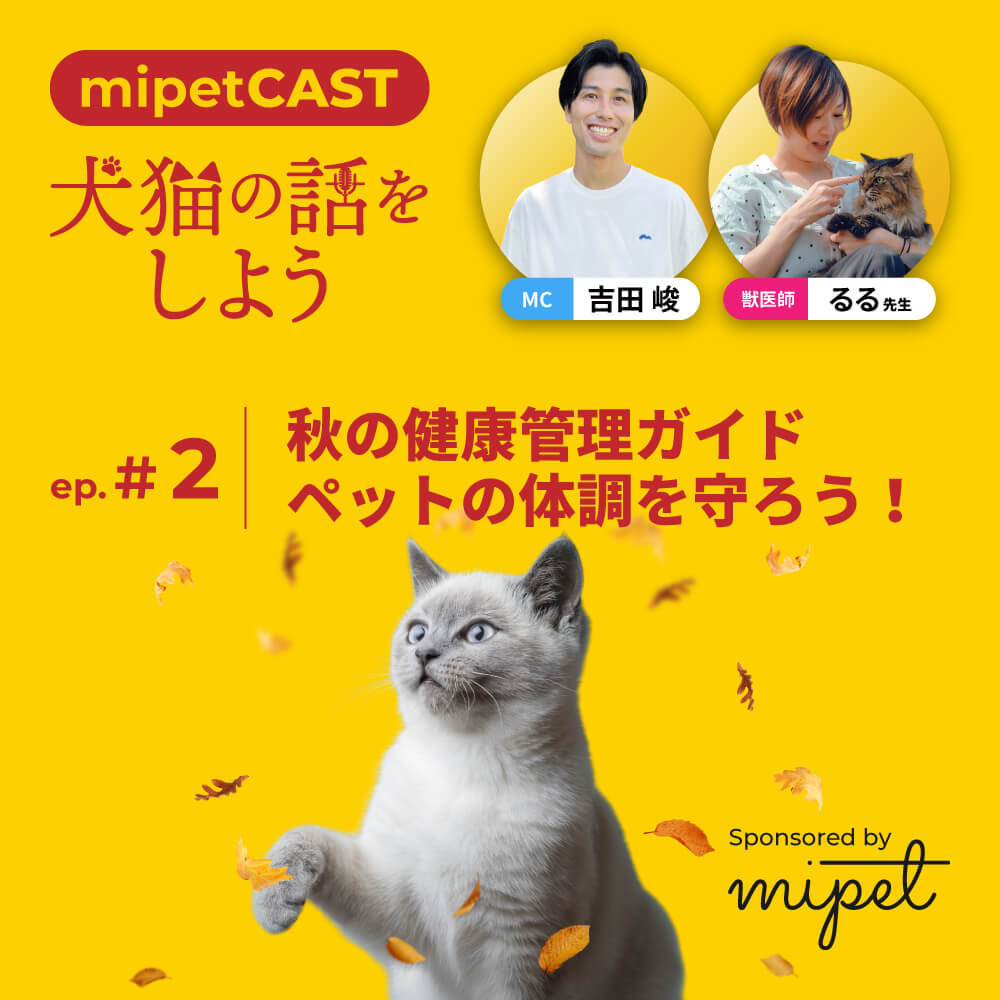 秋の健康管理ガイド: ペットの体調を守ろう！