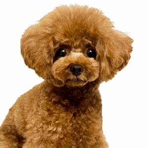 PUTYくん