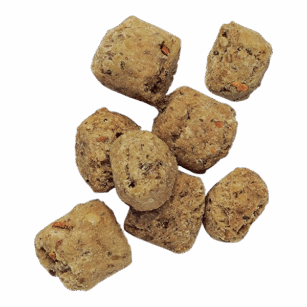 オネストキッチン クランチ グレインフリー ターキー | mipet