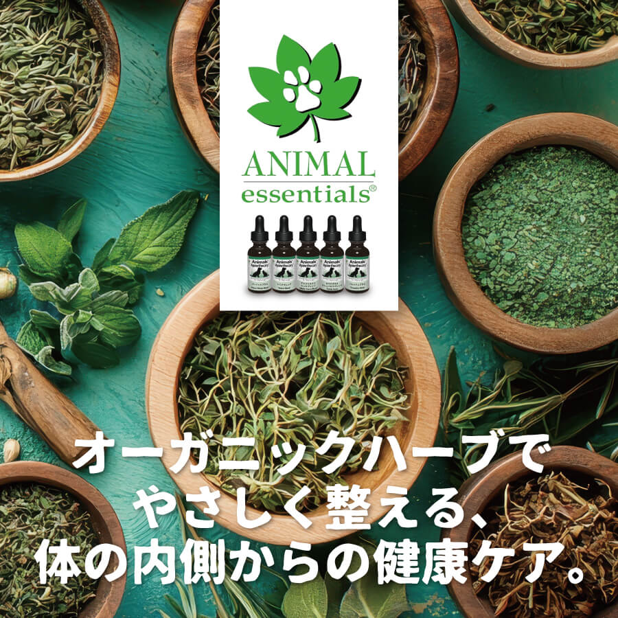 ANIMAL essentials - オーガニックハーブでやさしく整える、体の内側からの健康ケア。