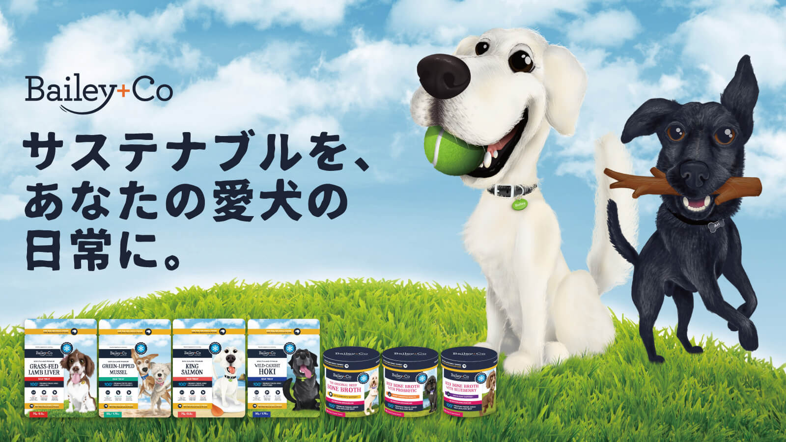 Bailey + Co - サステナブルを、あなたの愛犬の日常に。