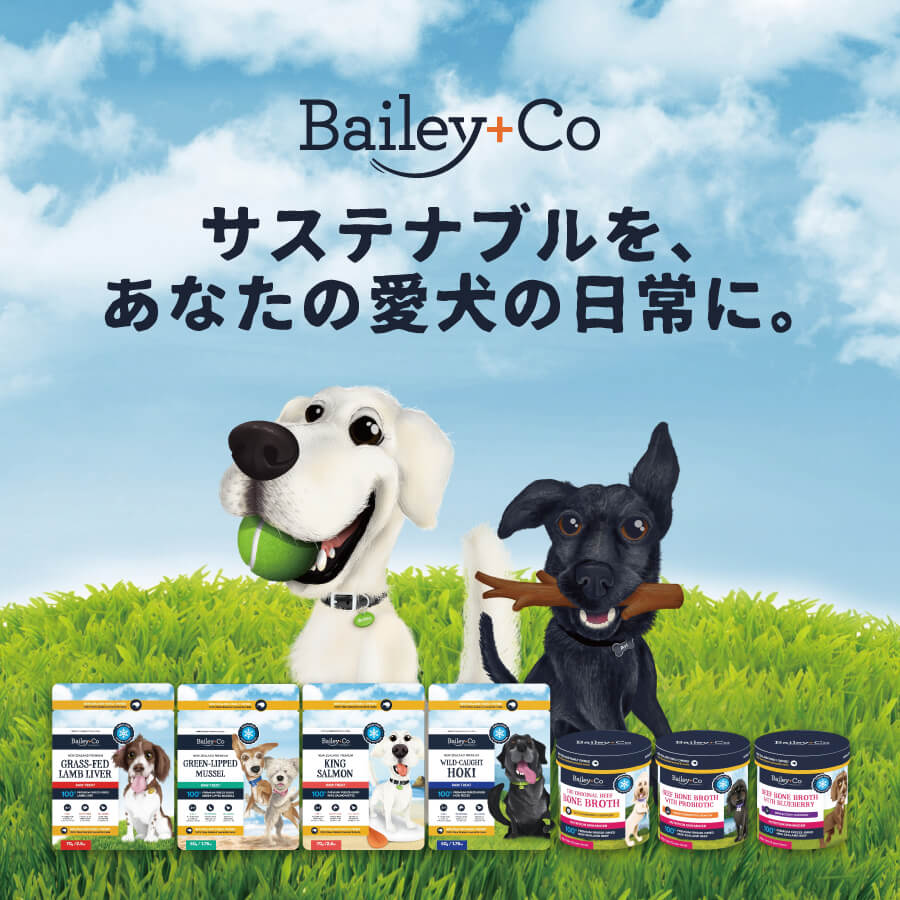 Bailey + Co - サステナブルを、あなたの愛犬の日常に。