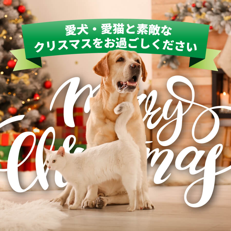 Merry Christmas - 愛犬・愛猫と素敵なクリスマスをお過ごしください