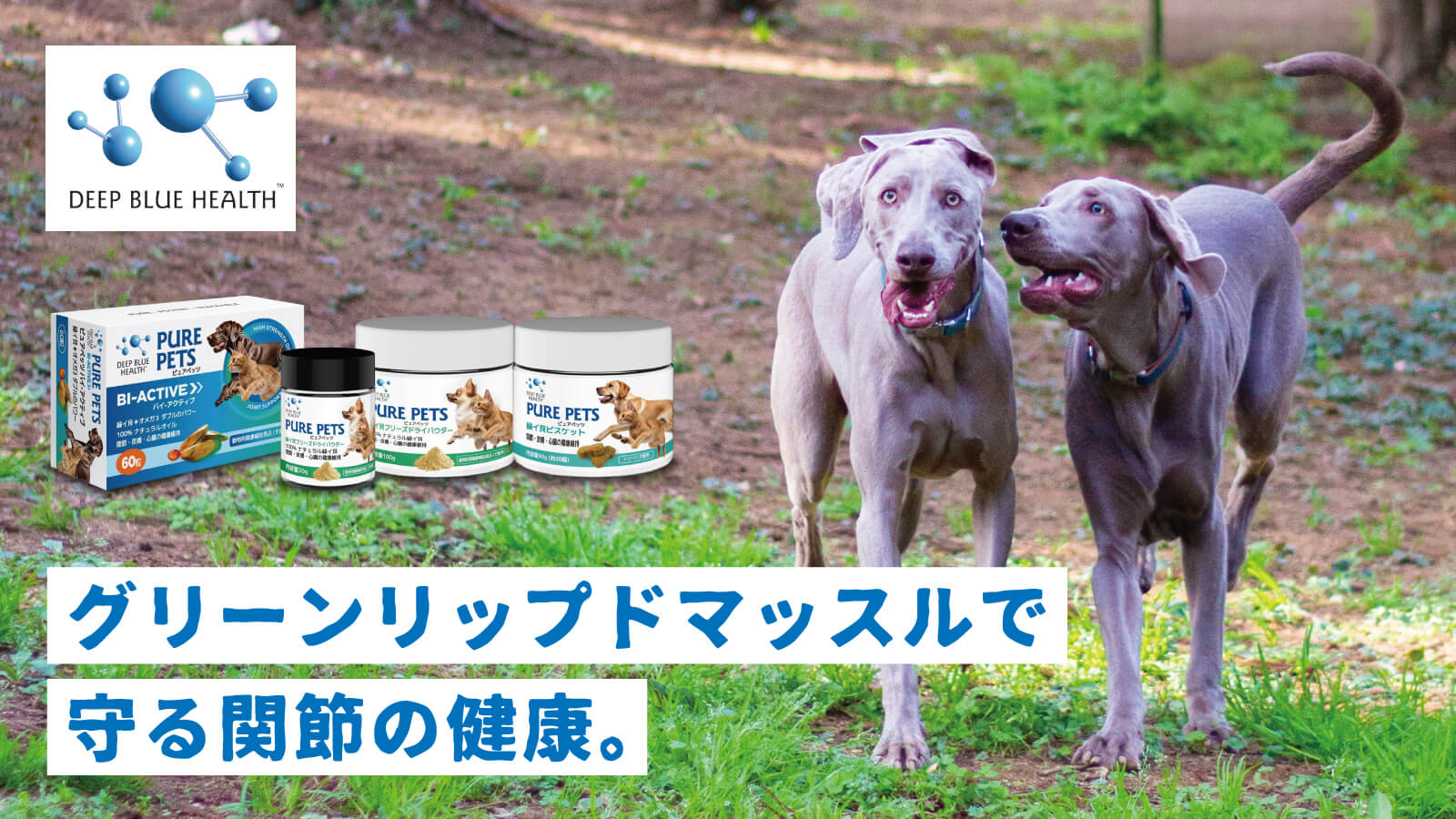 DEEP BLUE HEALTH - グリーンリップドマッスルで守る関節の健康。