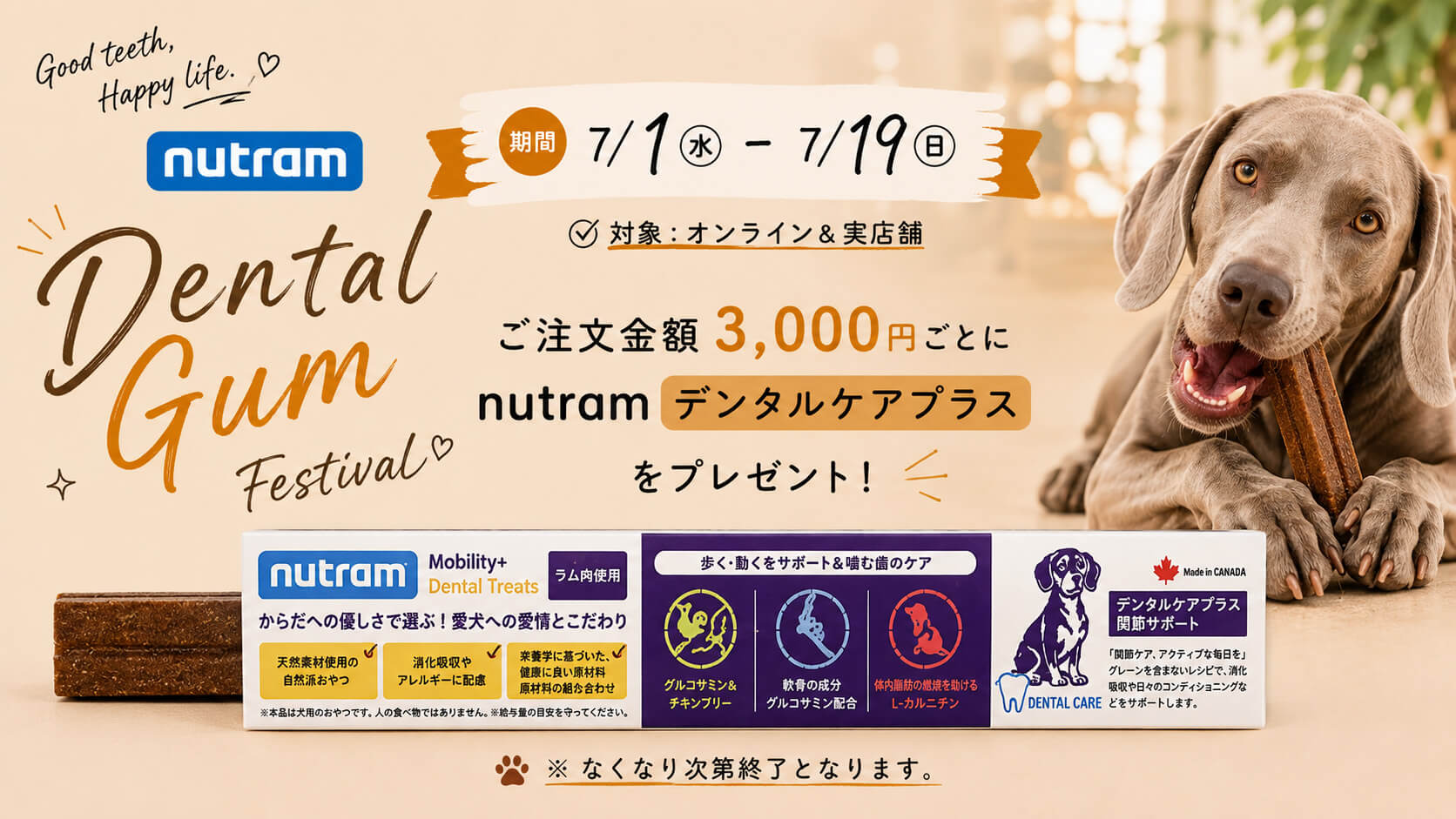 Dental Gum Festival. ご注文金額3,000えんごとにnutramデンタルケアプラスをプレゼント！