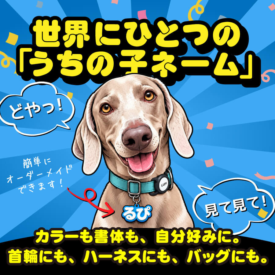 世界にひとるの「うちの子ネーム」簡単にオーダーメイドできます！カラーも書体も自分好みに。首輪にもハーネスにも、バッグにも。