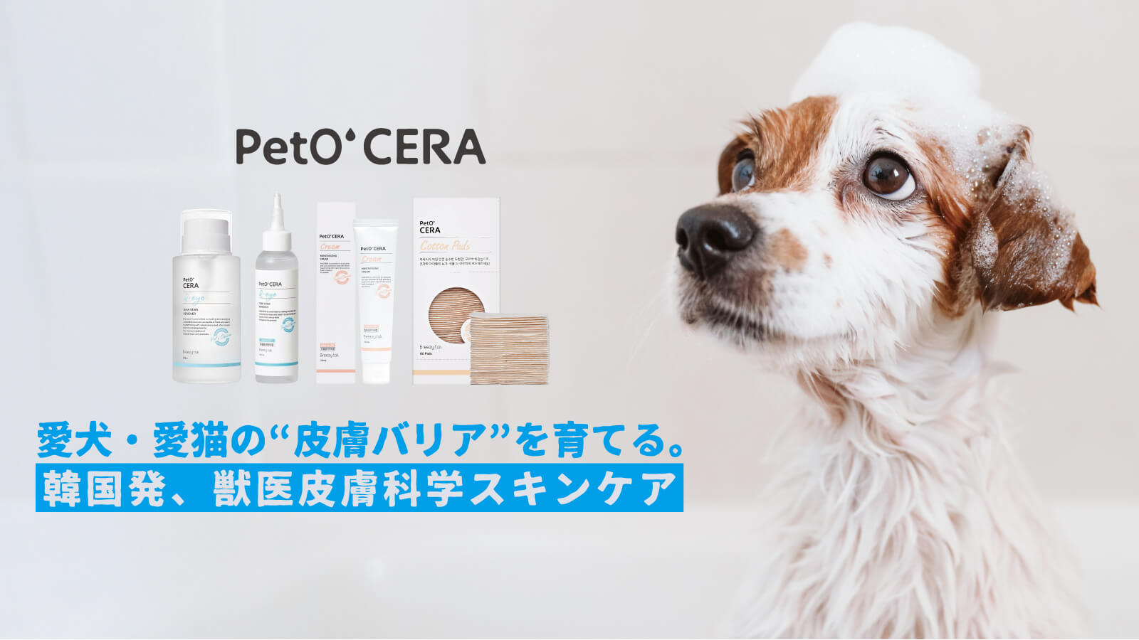 PetO' CERA - 愛犬・愛猫の皮膚バリアを育てる。韓国発、獣医皮膚科学スキンケア