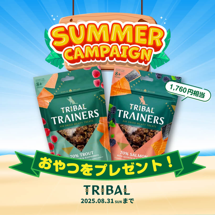SUMMER CAMPAIGN 2025 - TRIBAL エアドライトリーツ おやつをプレゼント！ 2025年08月31日（日）まで