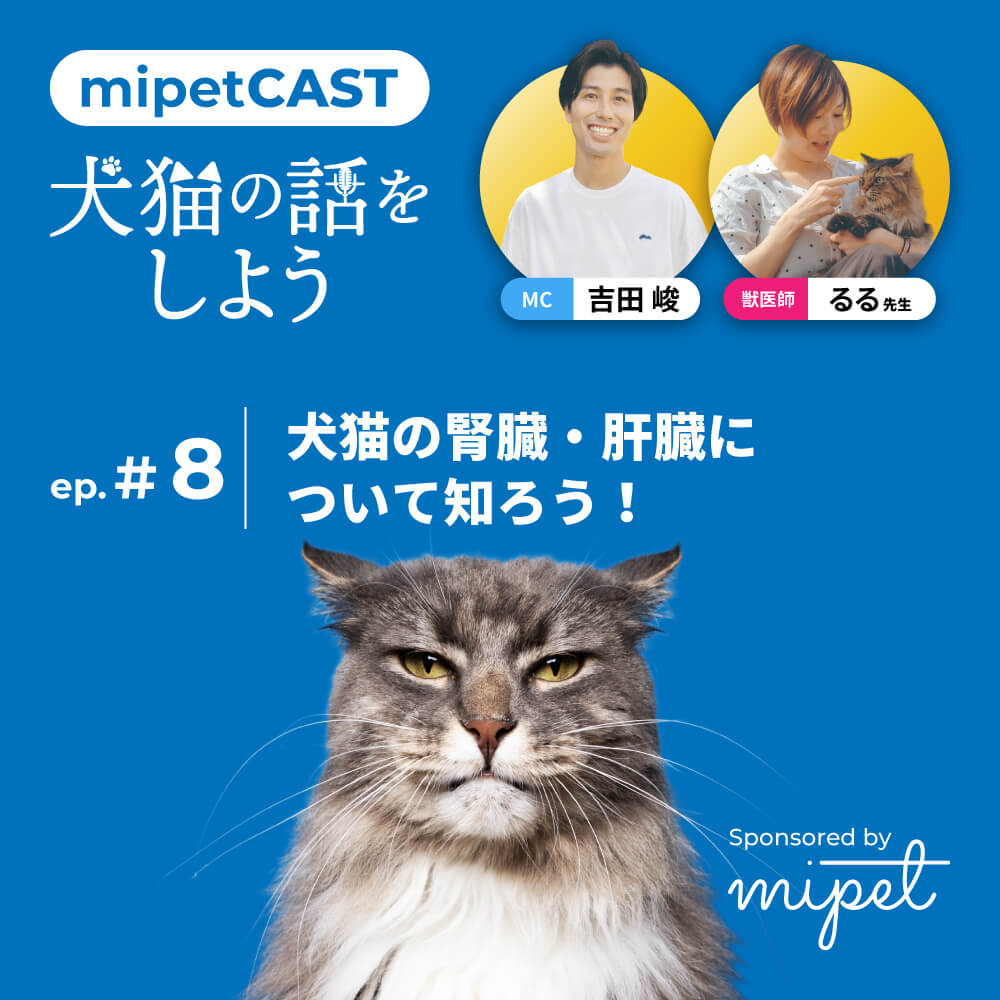 犬猫の腎臓・肝臓について知ろう！